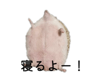 838933041
