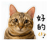 838933066