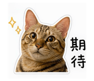838933083