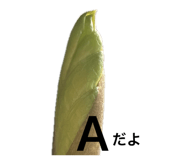 838933155