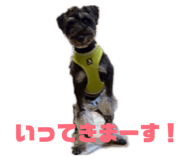 838933276