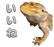 838933290