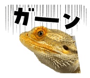838933291