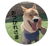 838933300