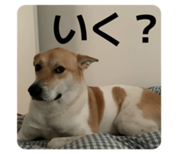 838933302