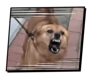 838933342