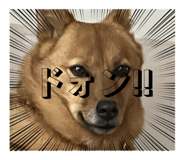 838933343