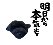 838933349