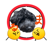 838933352