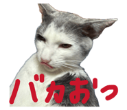 838933567