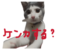 838933570