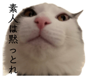 838933573