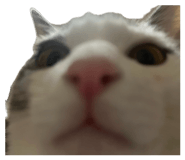 838933576