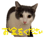838933582