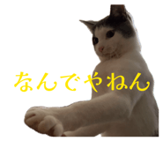 838933590