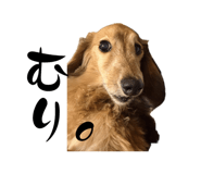 838933697