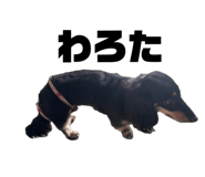 838933704