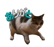 838933819