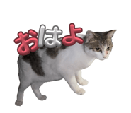 838933821