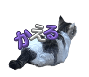 838933828