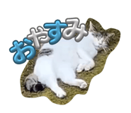 838933829