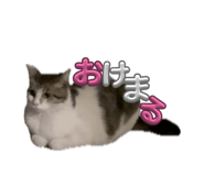 838933835