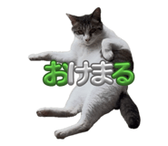 838933836