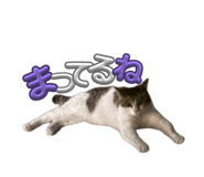 838933838
