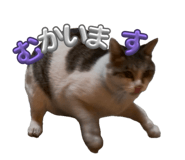 838933840