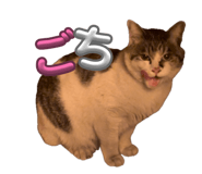 838933843