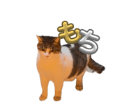 838933847