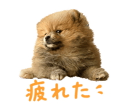 838934342