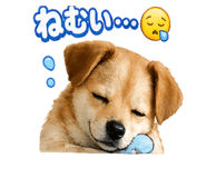 838934544
