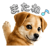 838934547