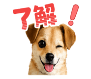 838934548