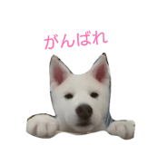838934617