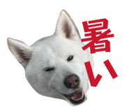 838934618