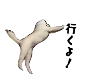 838934619