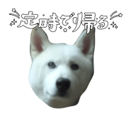 838934623