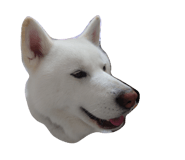 838934624
