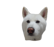 838934625