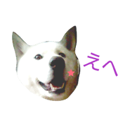838934626