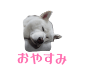 838934627