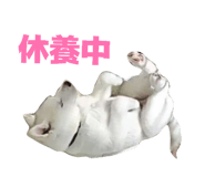 838934628