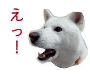838934630