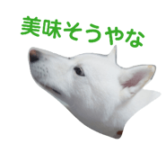838934631