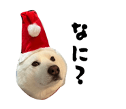 838934634