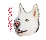 838934636