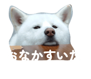 838934639