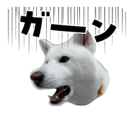838934644